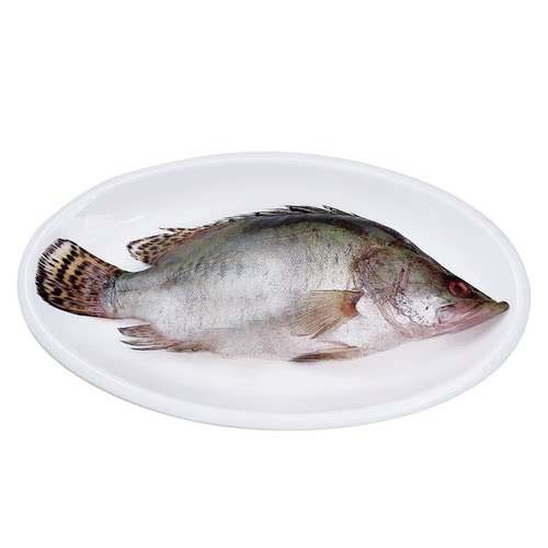 【三条更划算】臭鳜鱼腌制酒店批发半成品臭桂鱼正宗安徽黄山特产