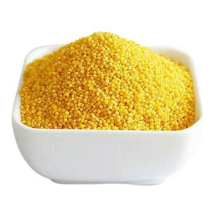 代县小米山西小米农家小米小米粥杂粮新米无抛光染色10斤