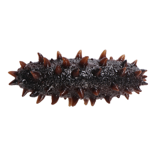 大连海参即食辽参刺参鲜活官方旗舰店淡干货海生500g特价装袋