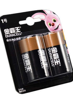 金霸王液化气灶手电筒D干电池R20