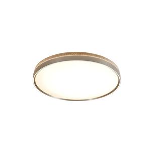 松伟【雅美】新款现代轻奢风客厅卧室五档智能语音吸顶灯全光谱