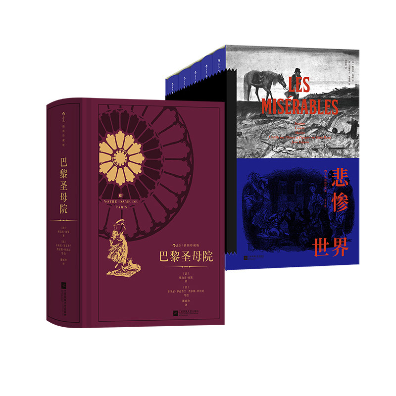 后浪正版巴黎圣母院+悲惨世界