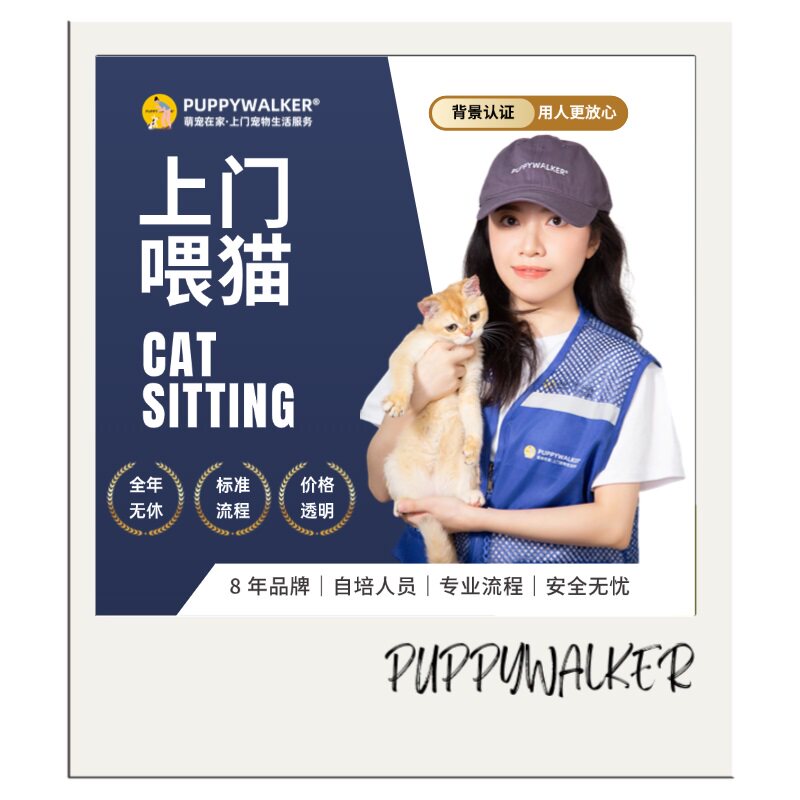 上门喂猫｜广州杭州多城市|萌宠在家|猫咪宠物喂食寄养铲屎服务