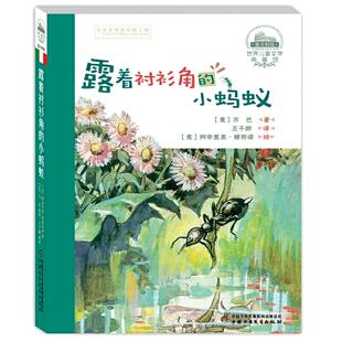 当当网正版童书 露着衬衫角的小蚂蚁 世界儿童文学典藏馆 昆虫王国曲折生动的传奇经历 尊重并善待每一个小生命 热爱并呵护大自然