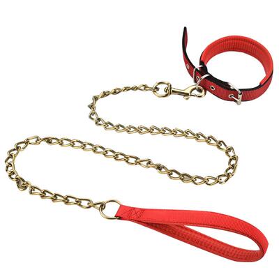 防咬狗狗牵引绳泰迪金毛遛狗绳