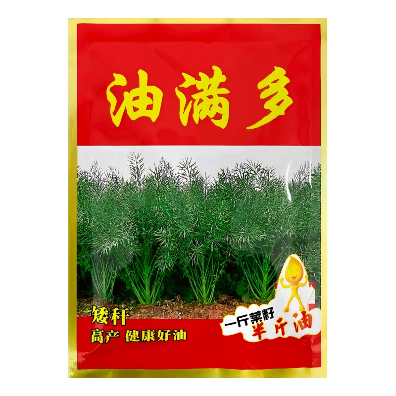 油满多榨油专用油菜种子出油率高矮杆高产抗病抗倒伏大田油菜种籽