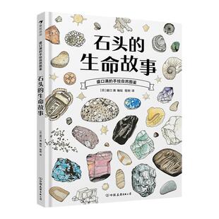 浪花朵朵正版 盛口满的手绘自然图鉴:石头的生命故事 7-10岁 石头地质 日本童书研究会 科普百科绘本