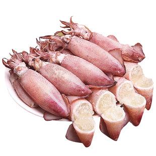 海兔子满籽笔管鱼全带籽籽乌贼小八爪鱿鱼新鲜冷冻墨鱼仔顺丰包邮