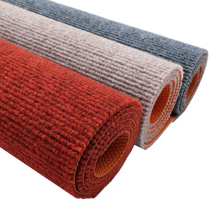 入户除尘地毯入户门地垫免洗可裁剪防滑门垫进门门口卧室家用脚垫