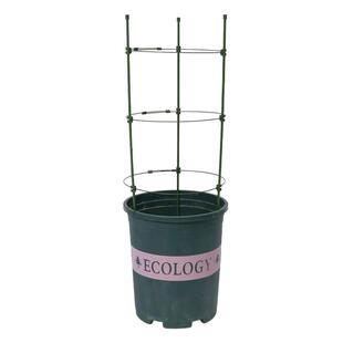 花架爬藤架子花盆植物蟹爪兰月季铁线莲小支架攀爬架花支架支撑杆