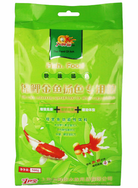 大拇指锦鲤金鱼扬色增强小颗粒