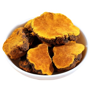 桑黄中药材长白山野生桑黄正品特级桑树桑黄茶干货新货旗舰店正宗