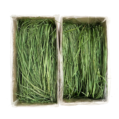 烘干提摩西草兔粮龙猫草北提干草