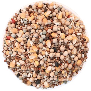 包邮5斤装鸽子粮有玉米幼鸽食物鸟食信鸽观赏鸽肉鸽粮赛鸽粮幼鸽