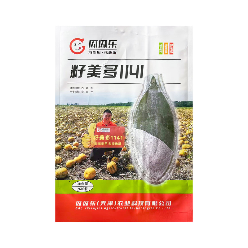 基地推荐产籽专用西葫芦种子