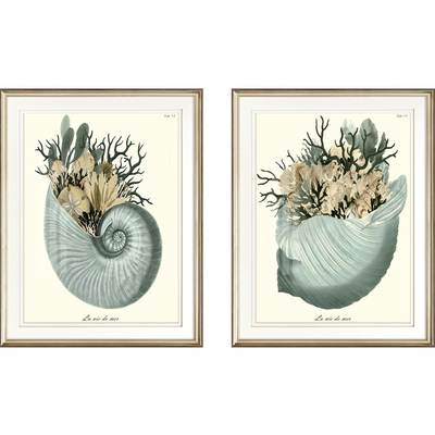 高级感强客厅美法式轻奢海螺挂画