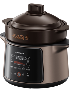 九阳炖汤家用新款高温瓷胆电炖锅