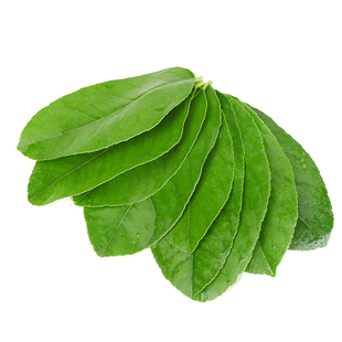 新鲜柠檬叶香水柠檬叶子冬阴功食材奶茶店用摆盘装饰鱼生佐料叶子