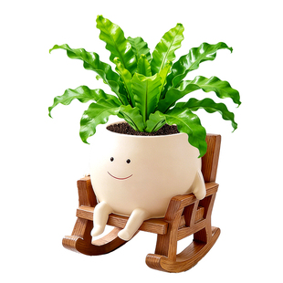 鸟巢蕨盆栽壁挂绿植装饰摆件秋千吊兰垂吊植物办公室可爱室内四季