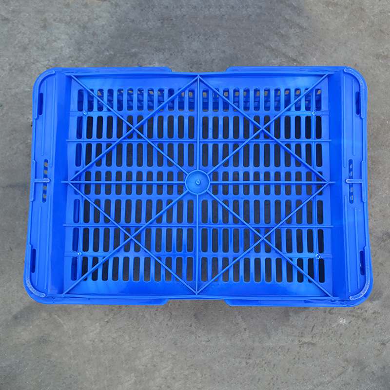 全新塑料加厚菌菇运输周转箱蔬菜抗压香菇蘑菇筐筐框透气水果