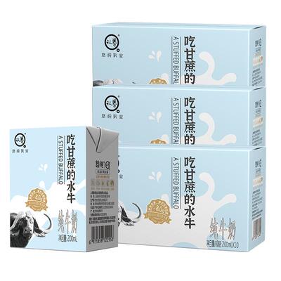 【高钙】认养吃甘蔗的水牛奶