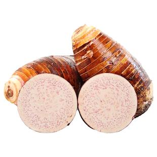 广西荔浦新鲜大芋头10斤整箱小芋头旗舰店正宗槟榔芋现挖毛芋头5