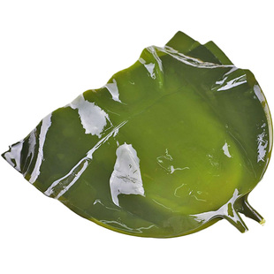 嫩海带头新鲜5斤盐渍海带片厚昆布火锅凉拌菜中短头荣成海带根