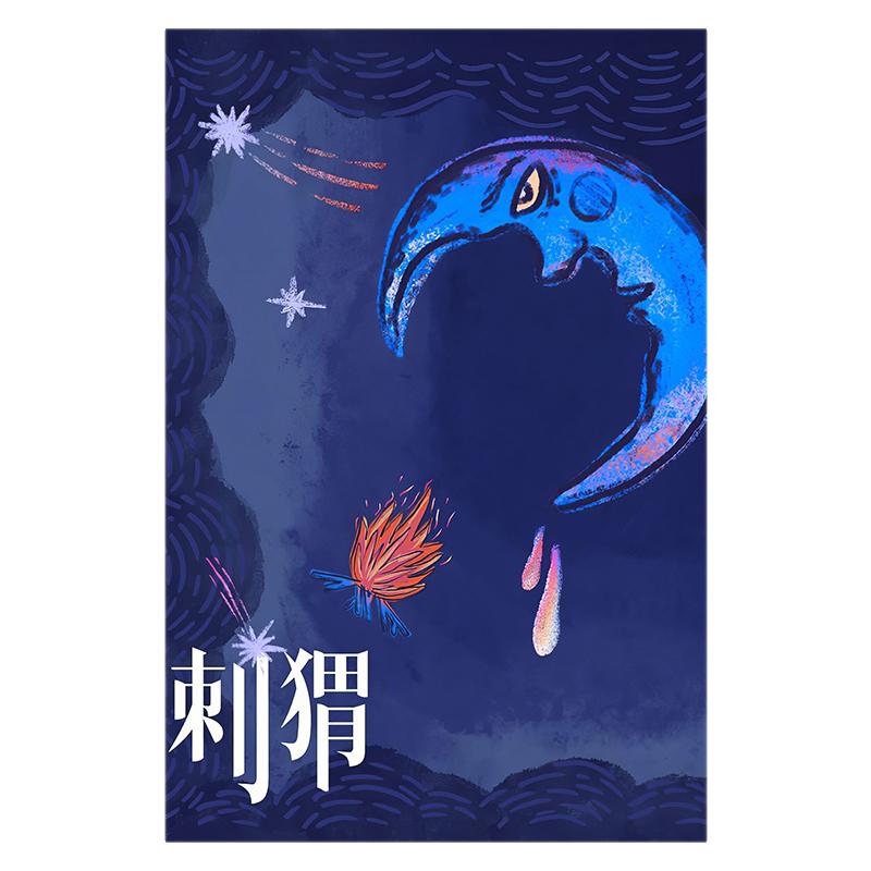 刺猬乐队海报 摇滚音乐画报 赵子健 石璐宿舍贴画 流行乐装饰挂画