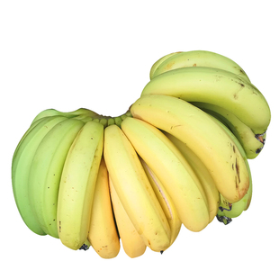 广西新鲜香蕉大果本地蕉土香蕉新鲜水果banana9斤净重无催熟剂