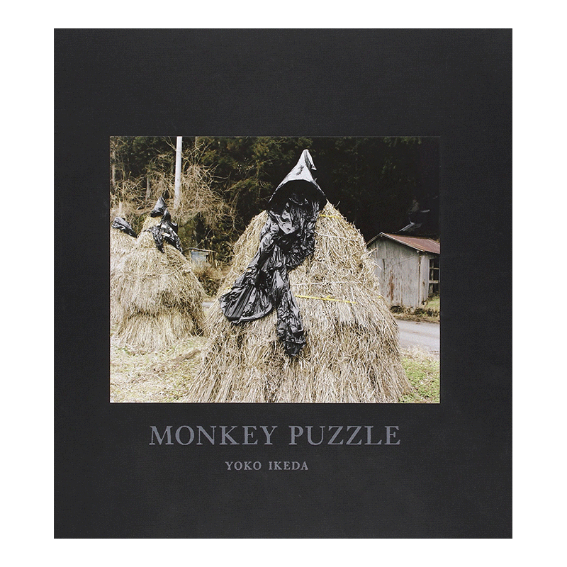 【预售】Yoko Ikeda池田叶子摄影作品集 Monkey Puzzle猴子谜题 英文原版进口摄影图书 Nazraeli摄影集书籍艺术画册
