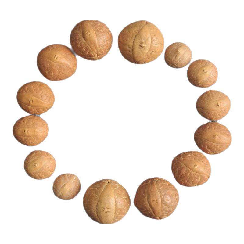 尼泊尔凤眼菩提9mm单圈手串塔菩提