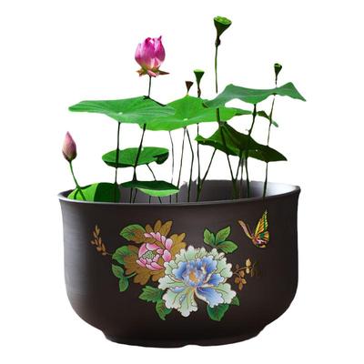 盆花盆碗莲睡莲专用养的种塑料缸碗玻璃器皿大号水培鱼缸陶瓷创意