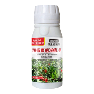 辣椒疫病清辣椒杀菌剂辣椒卷叶病炭疽病病毒病烂果病辣椒病菌清