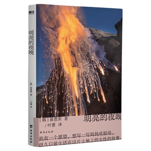 明亮的夜晚 崔恩荣长篇作品 大山文学奖获奖作 一部女性版的 活着
