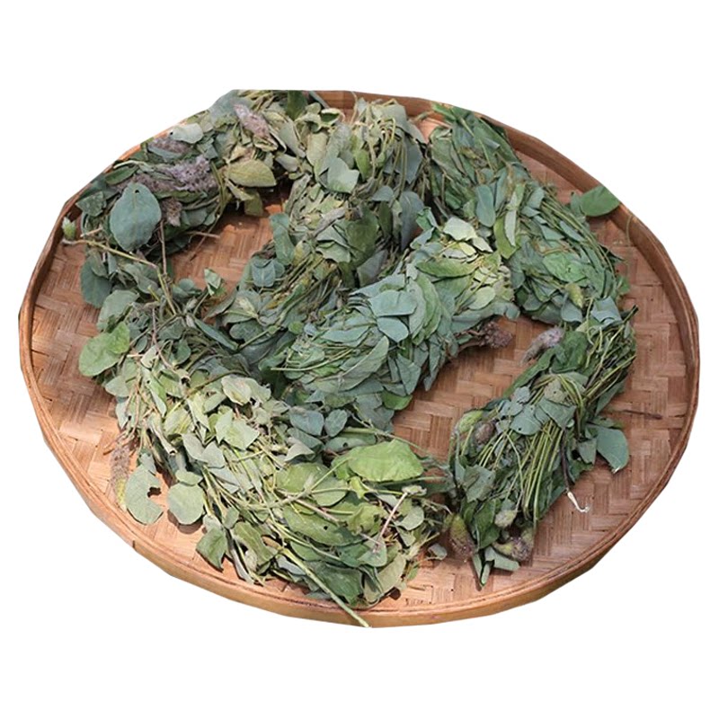 狸尾草深山药材农家正品草药带叶