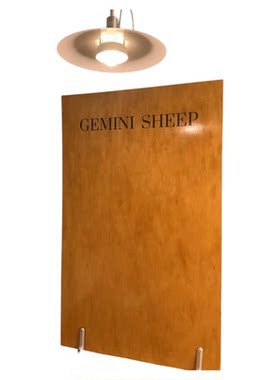 小红书网红背景板服装店摄影道具