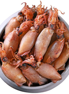 渔食客小海兔干500g非笔管鱼