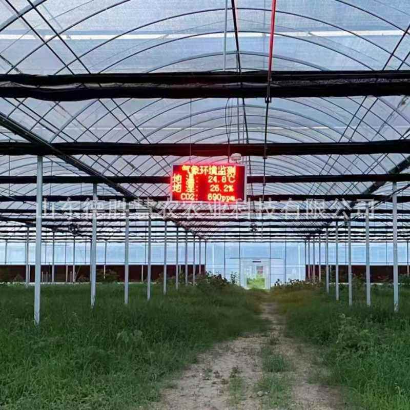 农业虫情监测系统分析仪自动太阳能幼虫虫情识灯测报供电智能