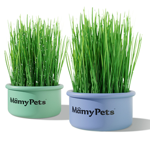 猫草盆栽种植小麦子土培盒育苗盘懒人猫薄荷幼猫咪化毛草零食用品