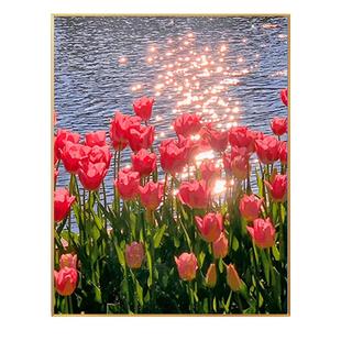 数字油画diy填充涂色郁金香油彩画高级感丙烯卧室客厅手工装饰画