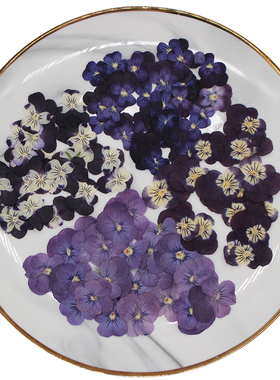 三色堇压花平面标本手工贴画diy