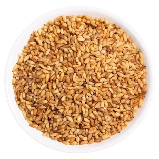 胖超市东来柏子仁中药材野生正品柏籽仁泡茶炒柏子仁官方旗舰店