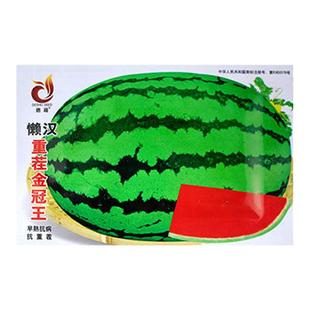 懒汉重茬金冠王西瓜种子抗病抗重茬特大巨型西瓜种籽抗裂果大红瓤
