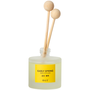 OCE迷你无火香薰精油摆件家用室内熏香卧室女生厕