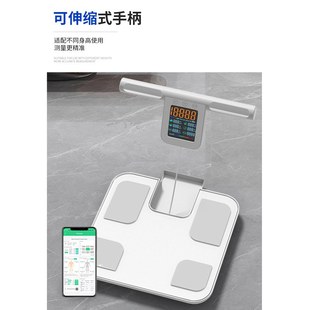 工厂批发蓝牙高精准测片家用测八脂智能体电极电极秤电子秤重脂带