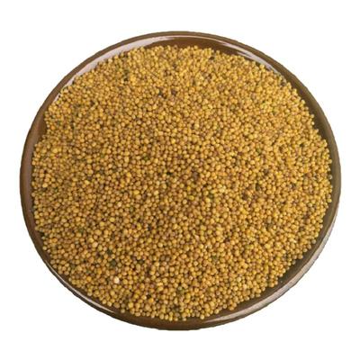 食用黄芥末籽500g包邮