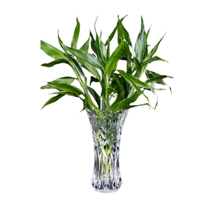 芍药专用花瓶中古风高级感插芍药花瓶客厅插花透明水养玻璃大花瓶