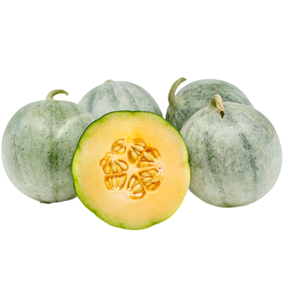 法国夏朗德传家宝甜蜜皮薄种子