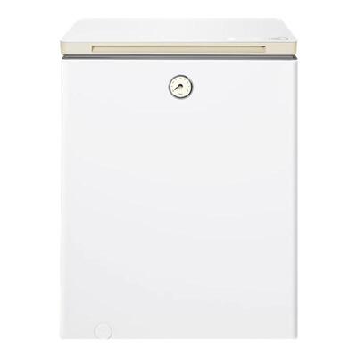 美的100升时光冰柜家用小型冷柜-40°C深度全冷冻冷藏两用小冰箱