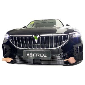 岚图FREE改装饰条中网前脸防虫网